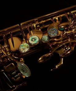 Kessler Custom SONUS Alto Sax - Image 12