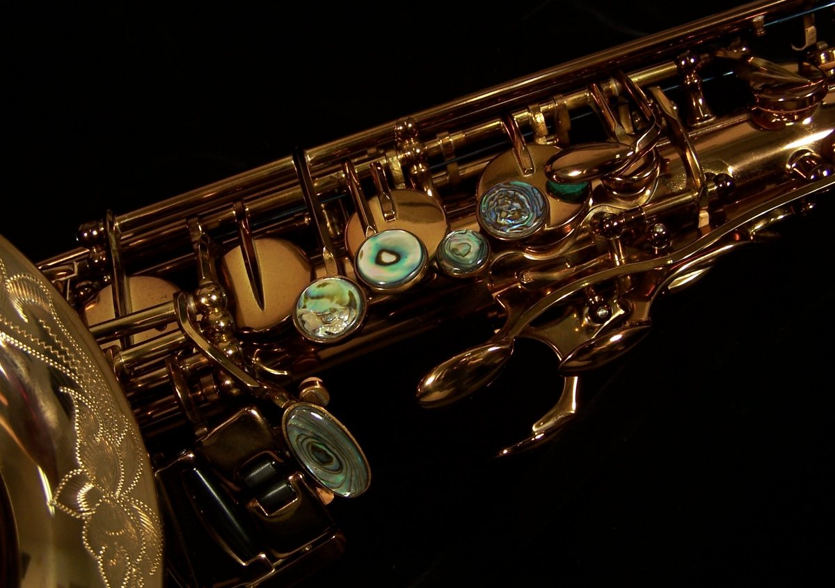 Kessler Custom SONUS Alto Sax - Image 12