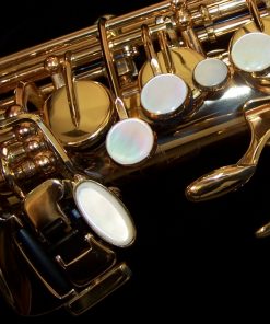 Antigua Pro One Alto Sax - designed by Peter Ponzol