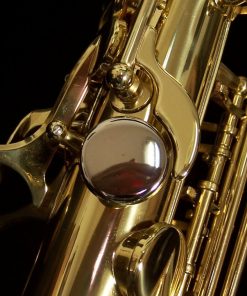 Selmer USA - AS42 Semi-Pro Alto Sax