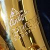 Antigua Pro One Alto Sax - designed by Peter Ponzol