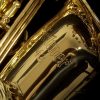 Selmer USA - AS42 Semi-Pro Alto Sax