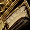 Solid Silver Series III Alto Sax - Selmer Paris Jubilee