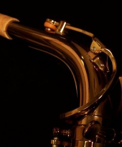 Kessler Custom SONUS Alto Sax - Image 8