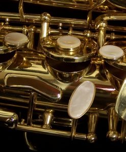 Selmer USA - AS42 Semi-Pro Alto Sax