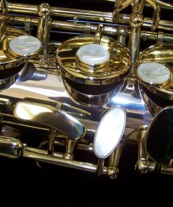 Solid Silver Series III Alto Sax - Selmer Paris Jubilee