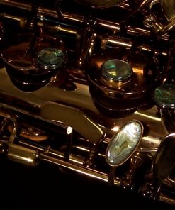 Kessler Custom SONUS Alto Sax - Image 11