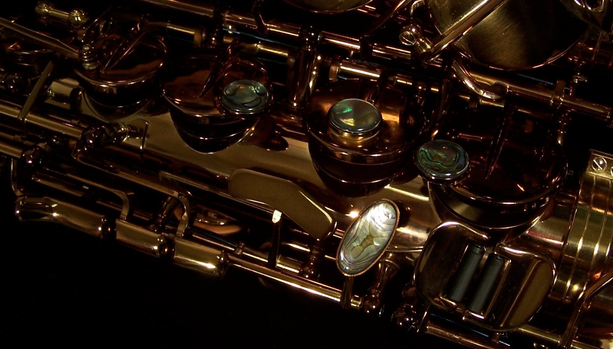 Kessler Custom SONUS Alto Sax - Image 11