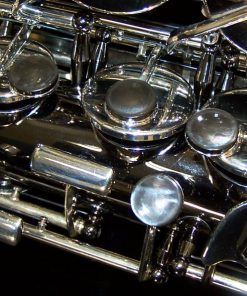 Shadow Alto Sax by Julius Keilwerth
