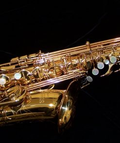 Antigua Pro One Alto Sax - designed by Peter Ponzol