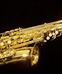 Selmer USA - AS42 Semi-Pro Alto Sax
