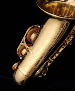 SeleS by Selmer Paris - AXOS Alto Sax
