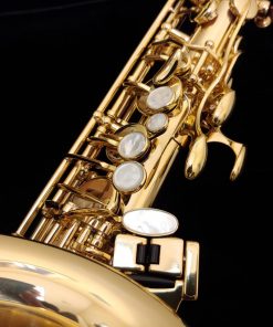 SeleS by Selmer Paris - AXOS Alto Sax