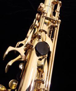 SeleS by Selmer Paris - AXOS Alto Sax
