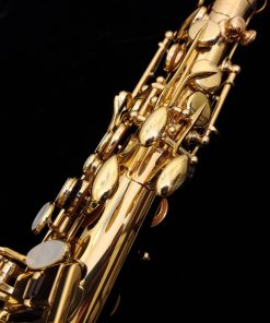 SeleS by Selmer Paris - AXOS Alto Sax