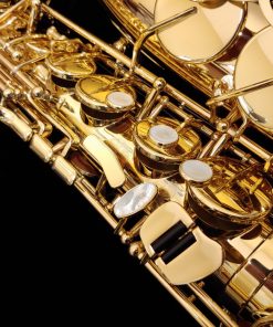 SeleS by Selmer Paris - AXOS Alto Sax