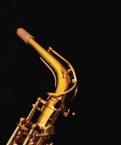Selmer Paris Reference 54 Alto Sax - Dark Lacquer, 72