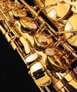 Selmer Paris Series II Alto Sax - Jubilee Gold Lacquer
