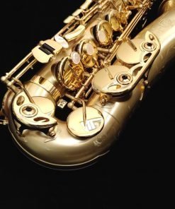 Selmer Paris Series II Jubilee Alto Sax - Brushed Matte 52JM
