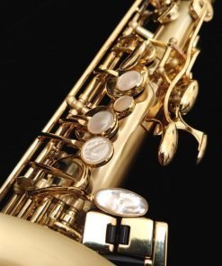 Selmer Paris Series II Jubilee Alto Sax - Brushed Matte 52JM