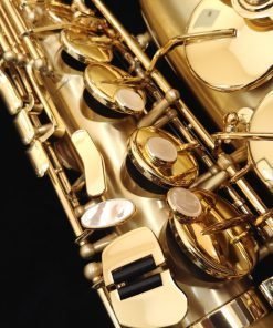 Selmer Paris Series II Jubilee Alto Sax - Brushed Matte 52JM