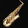 Selmer Paris Series II Jubilee Alto Sax - Brushed Matte 52JM