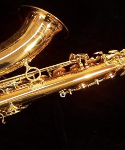 Yanagisawa T992 Bronze Tenor Sax
