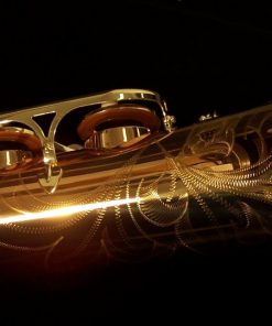 Yanagisawa T992 Bronze Tenor Sax