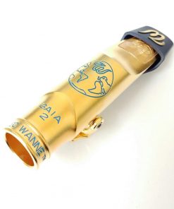 Theo Wanne GAIA Tenor Sax Mouthpiece - GAIA-2 Gold