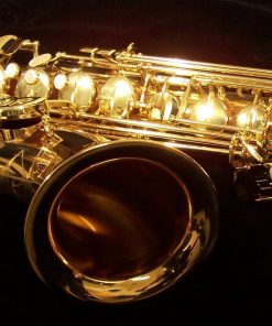 Yanagisawa T992 Bronze Tenor Sax