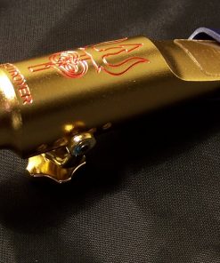 Theo Wanne SHIVA Tenor Sax Mouthpiece - Gold