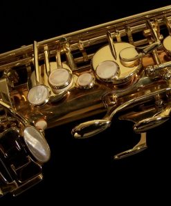 Yanagisawa T992 Bronze Tenor Sax