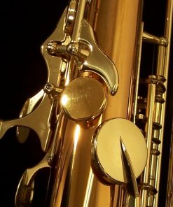 Yanagisawa T992 Bronze Tenor Sax