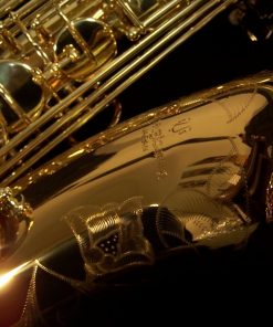 Yanagisawa T992 Bronze Tenor Sax