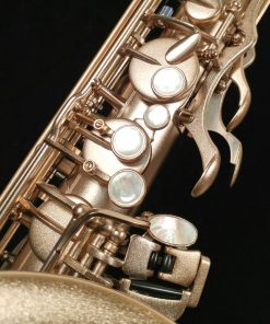 Theo Wanne MANTRA Tenor Saxophone