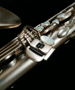 Theo Wanne MANTRA Tenor Saxophone