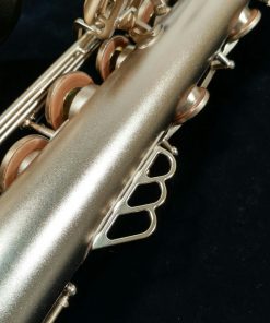 Theo Wanne MANTRA Tenor Saxophone