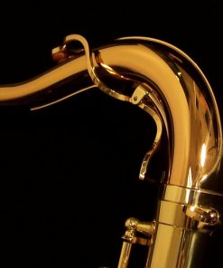 Yanagisawa T992 Bronze Tenor Sax