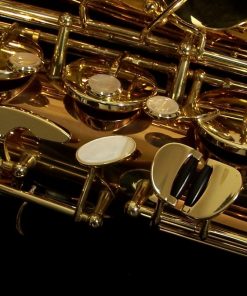 Yanagisawa T992 Bronze Tenor Sax