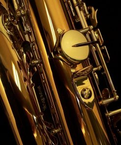 Yanagisawa T992 Bronze Tenor Sax