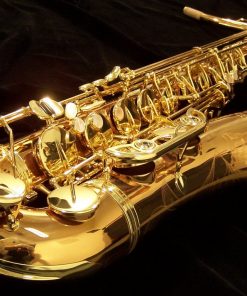 Yanagisawa T992 Bronze Tenor Sax