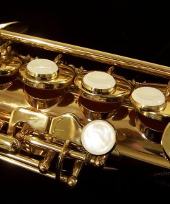 Antigua Intermediate Soprano Sax
