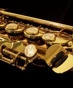 Yanagisawa S992 Bronze Soprano Sax