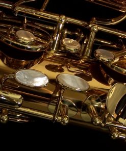 Yanagsiawa B992 Bronze Bari Sax - B992P with Floor Peg