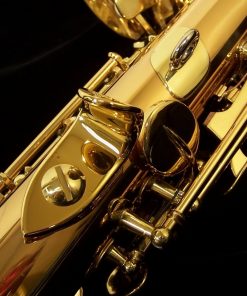 Yanagisawa S992 Bronze Soprano Sax
