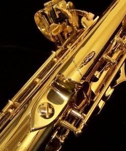 Yanagisawa S991 Soprano Sax - Professional Dual Neck
