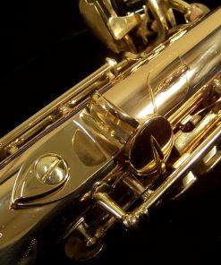 Antigua Intermediate Soprano Sax