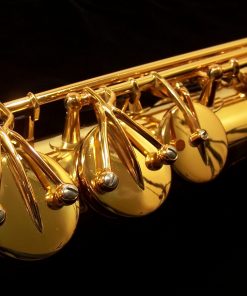 Antigua Pro One Soprano Sax - SS6200VLQ