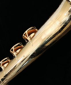 Yanagisawa B901 Bari Sax - Professional Low A Bari