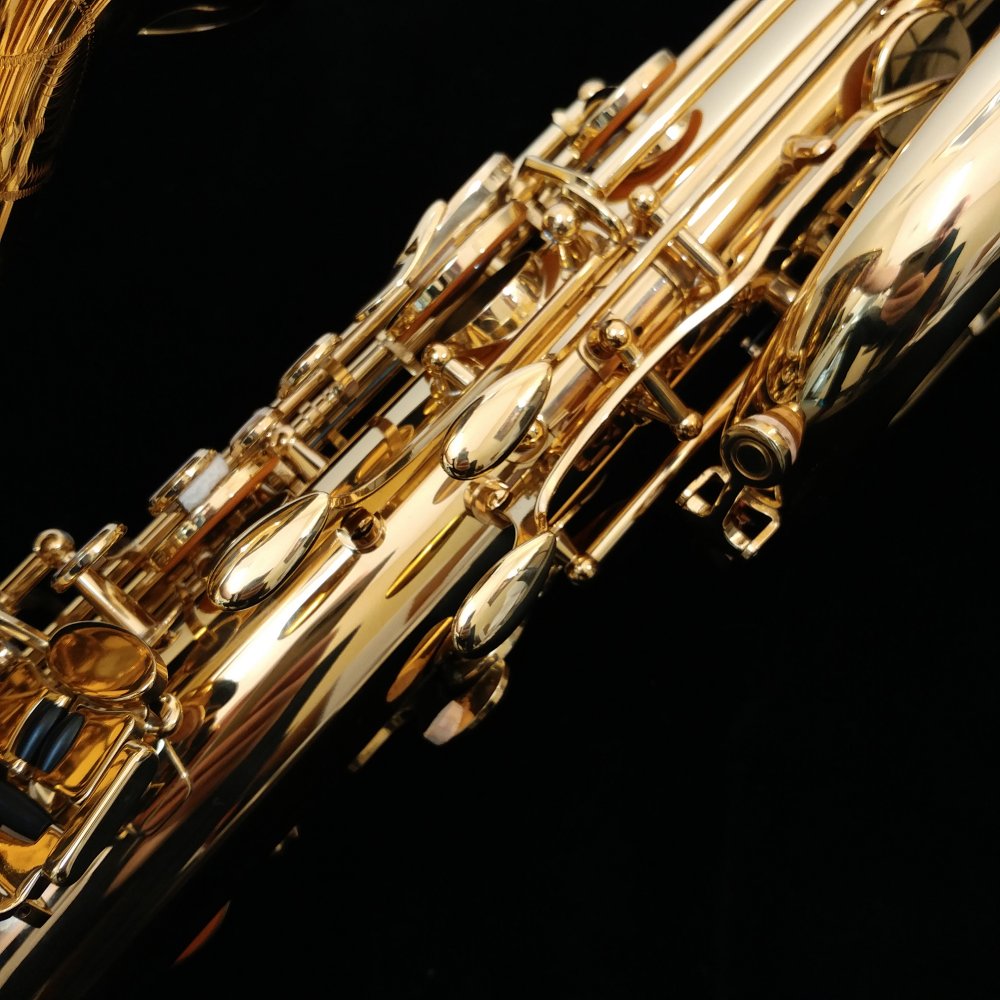 Yanagisawa B901 Bari Sax - Professional Low A Bari